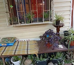 3х-комнатная квартира Приреченская 2