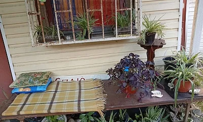 3х-комнатная квартира Приреченская 2, Адлер Фото: 1 из 11