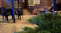 "Сын Апельсин" гостевой дом, Шепси