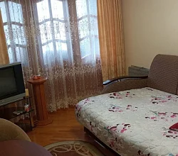 1-комнатная квартира Абазгаа 49/1 кв 58