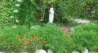 "Замира" частный сектор, Морское