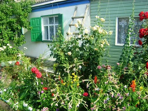 2 дома под-ключ Чапаева 15, Должанская Фото: 2 из 4