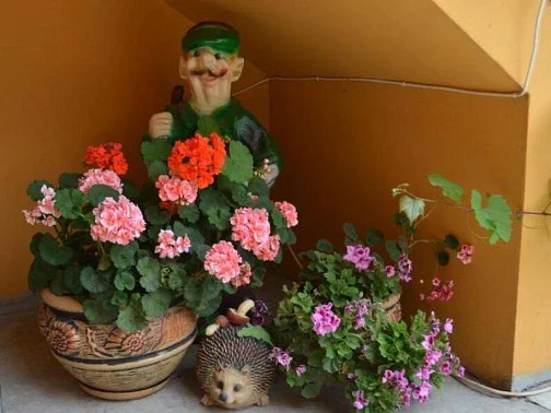 "Эссо" частный сектор, Адлер Фото: 11 из 51