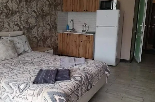 Квартира-студия Фото: 2 из 13