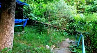 "Андрей" частный сектор, Хоста