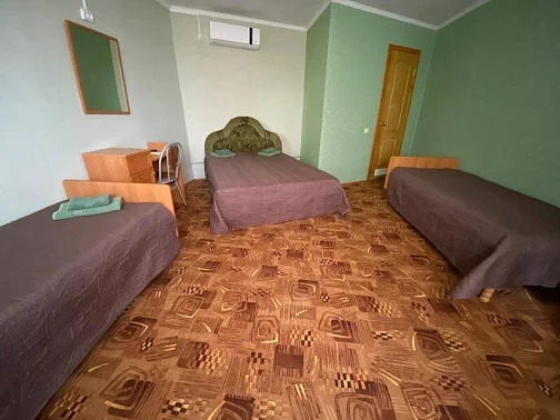 "Апельсин" гостевой дом, Орджоникидзе Фото: 35 из 48