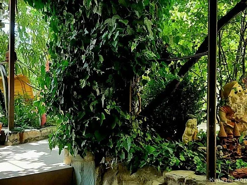 "Солнце" частный сектор, Кабардинка Фото: 15 из 51