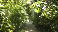 "У Татьяны" гостевой дом, Геленджик