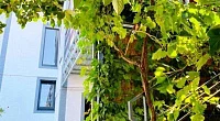 "Ольга" гостевой дом, Геленджик