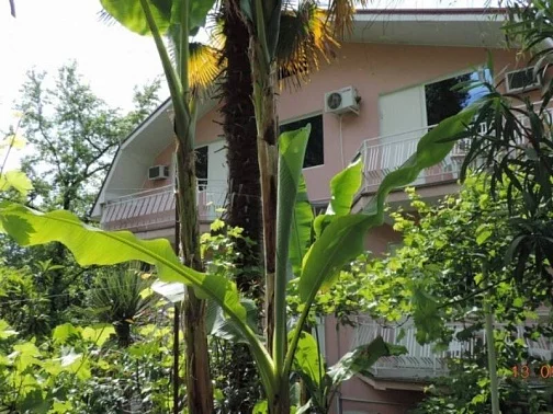 "На волне" гостевой дом, Хоста Фото: 5 из 24