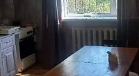 "Кактус" гостевой дом в Геленджике, Геленджик