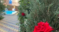 "Богемия" гостевой дом, Новофёдоровка