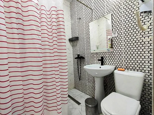 "SOVA" мини-гостиница, Пицунда Фото: 40 из 45