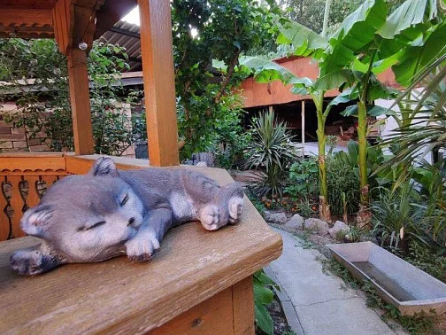 "На Паустовского" частный сектор, Симеиз Фото: 8 из 51