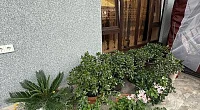 "У Марины" частный сектор, Имеретинская бухта