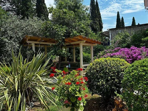 "Дали" гостиница, Гагра Фото: 7 из 47