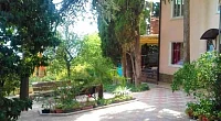 "В тени ливанского кедра" частный сектор, Алупка