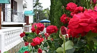 "Коттедж Чайка" частный сектор, Песчаное