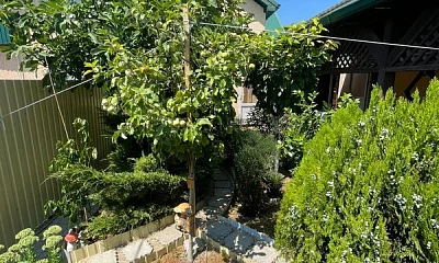 "Семейный" частный сектор, Голубая бухта Фото: 1 из 38