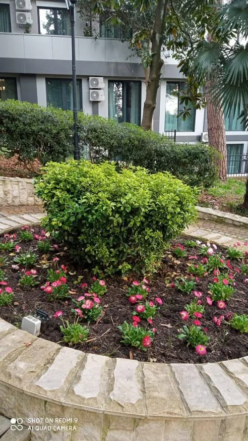 1-комнатная квартира Депутатская 10/Е, Сочи Фото: 11 из 32