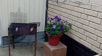 "На Нижнесадовой" дом под-ключ, Ейск