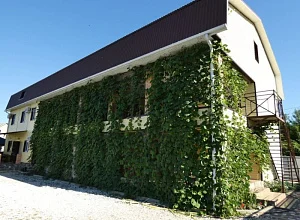 Гостевой дом Цветочный 2