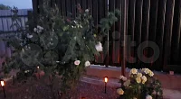 Частный сектор Новая 8, Веселовка