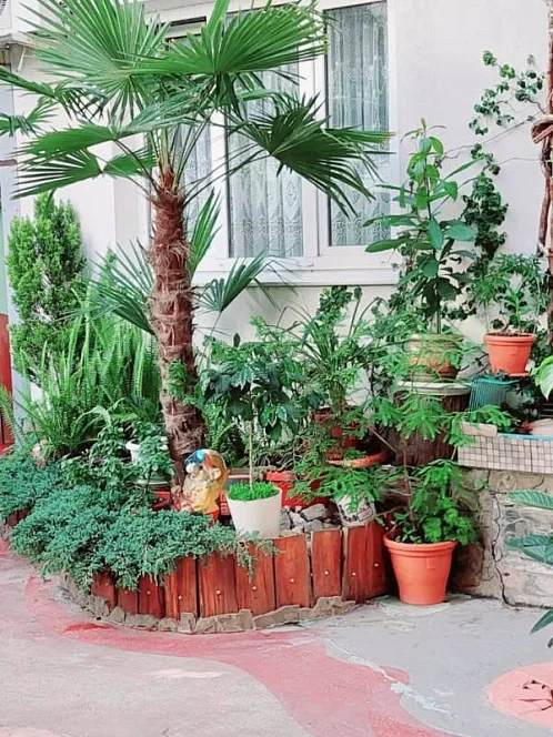 "Волна" частный сектор, Адлер Фото: 3 из 21