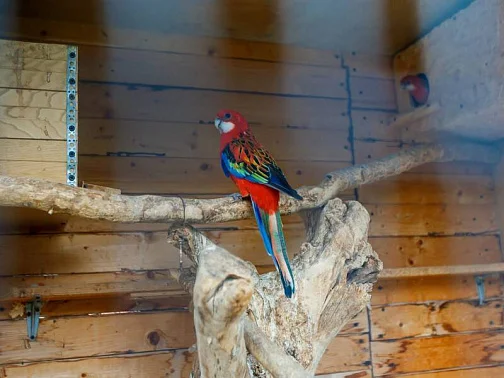 "Рада" гостевой дом, Кабардинка Фото: 14 из 46