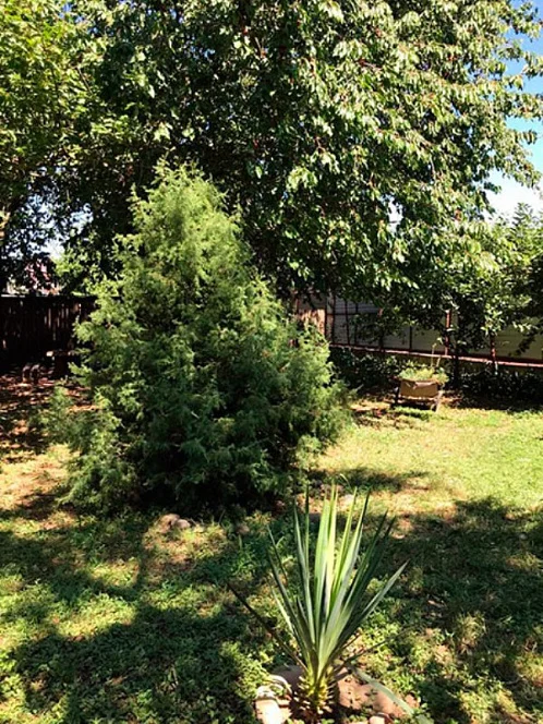 "У дяди Вани" частный сектор, Анапа Фото: 2 из 4