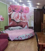 "Стандарт с мини-кухней" №7