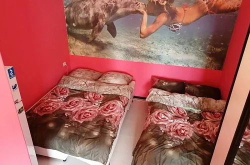 Квартира-студия Фото: 4 из 5