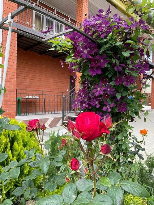 Дом под-ключ Цветочная 41, Голубицкая Фото: 2 из 18