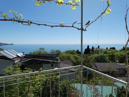 Частный сектор Ленина 17 кв 12, Алупка Фото: 23 из 26
