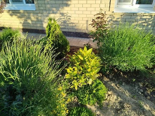 "На Черноморской" дом под-ключ, Веселовка Фото: 3 из 17