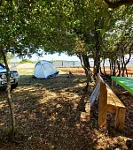 "Место для палатки" (без предоставления палатки)