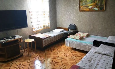 "У Зины" гостевой дом, Новый Афон Фото: 1 из 4