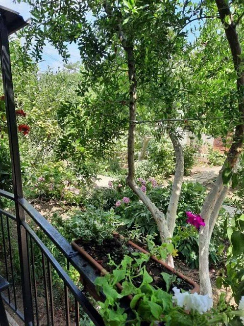 "Якорь" гостевой дом, Севастополь Фото: 8 из 18