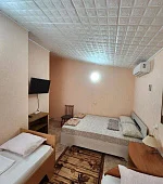 "Стандарт" 3х-местный