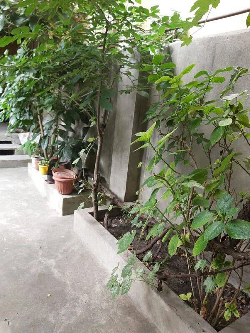 Частный сектор Говорова 9, Лазаревское Фото: 2 из 15