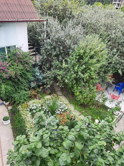 "Лаванда" мини-гостиница, Пицунда Фото: 36 из 36