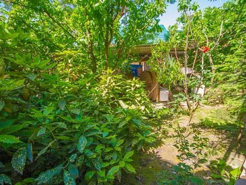 "Самсар" гостевой дом, Дагомыс Фото: 9 из 50