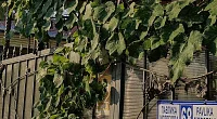 "Солнечный Берег" гостевой дом, Адлер