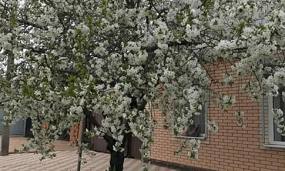 "Надежда" дом под-ключ, Ейск Фото: 1 из 21
