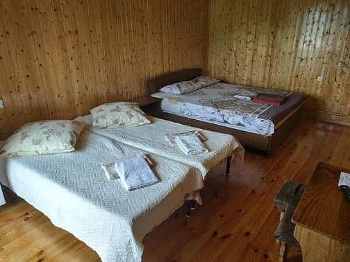 "Золотая рыбка" гостевой дом, Лдзаа Фото: 47 из 50