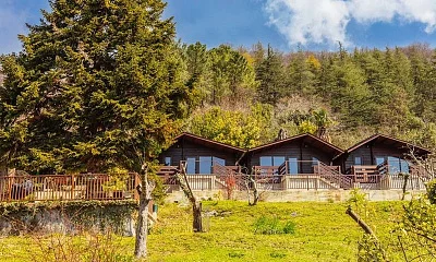 "Панорама" база отдыха, Гагра Фото: 1 из 39