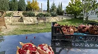 "Баньян" 1-комнатный дом под-ключ, Орджоникидзе