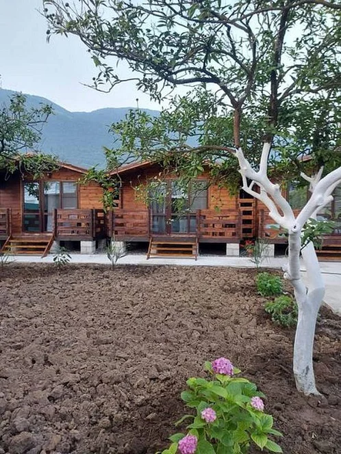 База отдыха Авидзба 20, Гагра Фото: 5 из 17