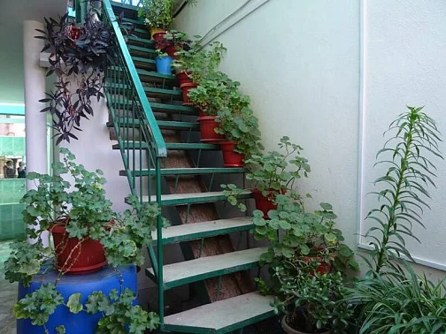 Частный сектор Генерала Дбар 163, Гагра Фото: 5 из 23