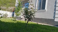 "Южный" гостевой дом, Аше